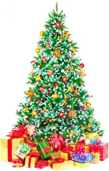 Image result for christmas tree images
